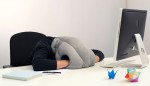 121226_StudioBanana_OstrichPillow_04S